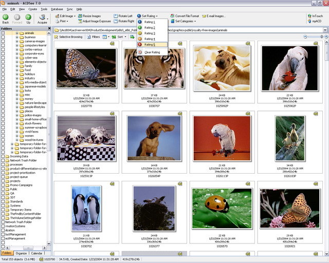 ACDSee PowerPack Screenshot